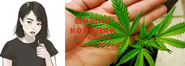 амф Алзамай