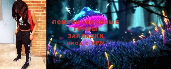 амф Алзамай