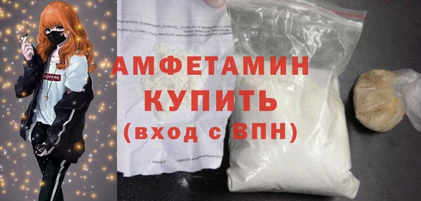 прущие грибы Абаза