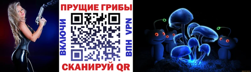 мега зеркало  Чебаркуль  Псилоцибиновые грибы мицелий 