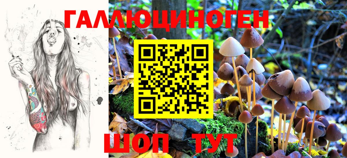 Галлюциногенные грибы ЛСД Чебаркуль