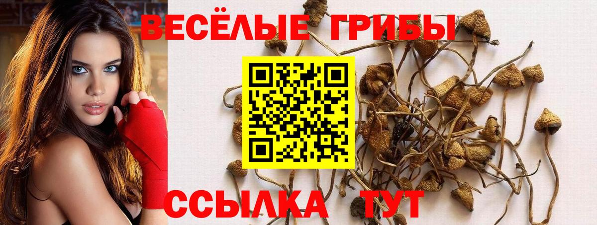 Псилоцибиновые грибы Cubensis  Вход с VPN  Чебаркуль  наркошоп  Галлюциногенные грибы мухоморы 